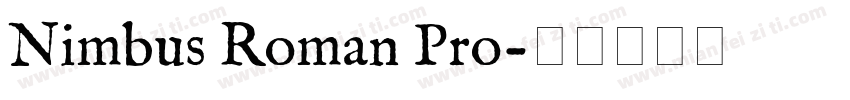 Nimbus Roman Pro字体转换
